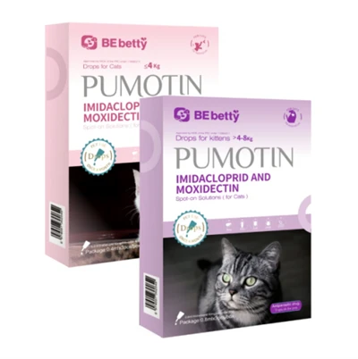 Pumotyna